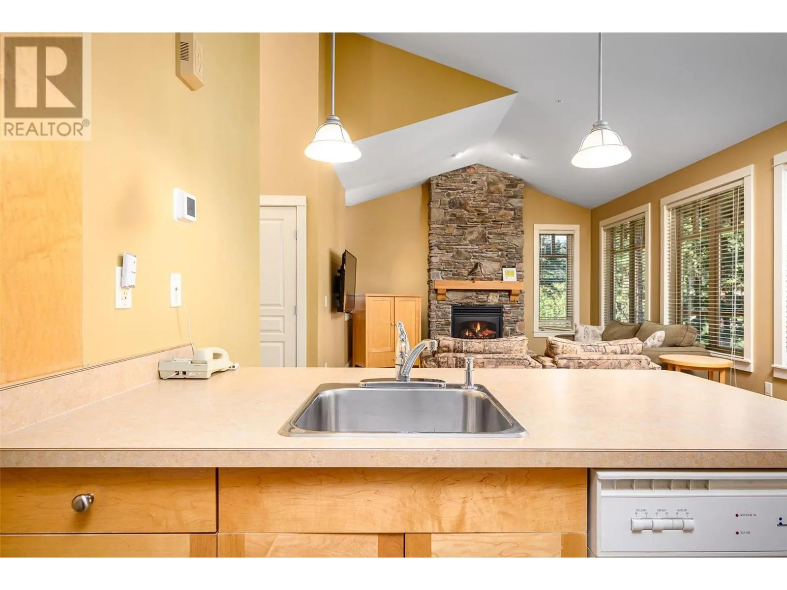 251 Predator Ridge Drive Unit# 47