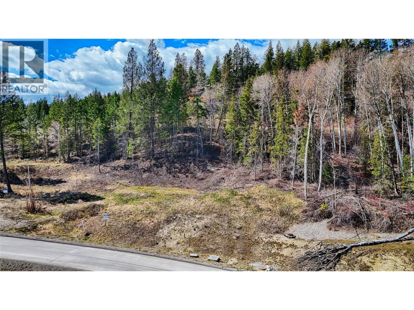 Lot 12 6200 Columbia Lake Road Lot# 12