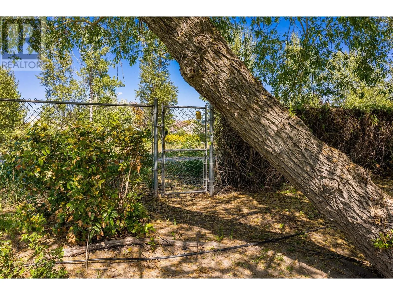 650 Lexington Drive Unit# 304