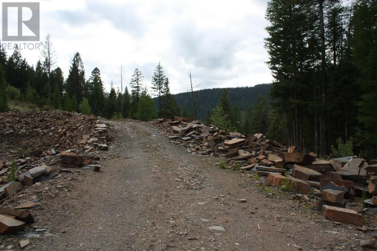 ML 1027410 FASSIFERN FS Road