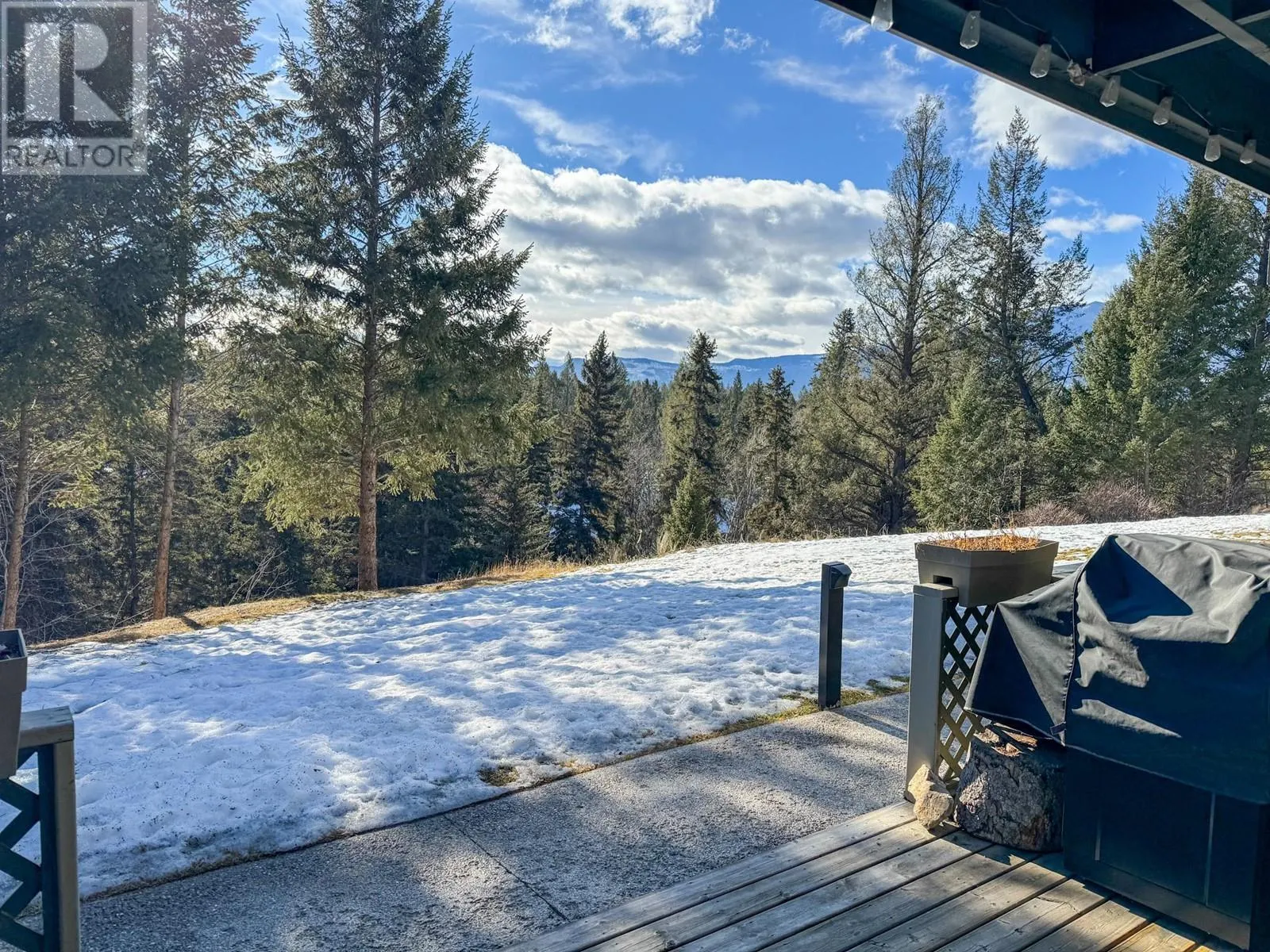 1492 Akiskinook Road Unit# 1