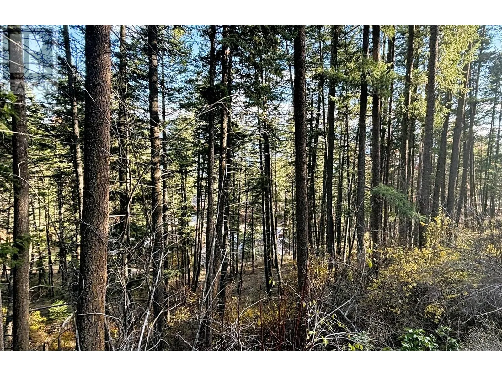 Lot 145 Keithley Road Lot# 145