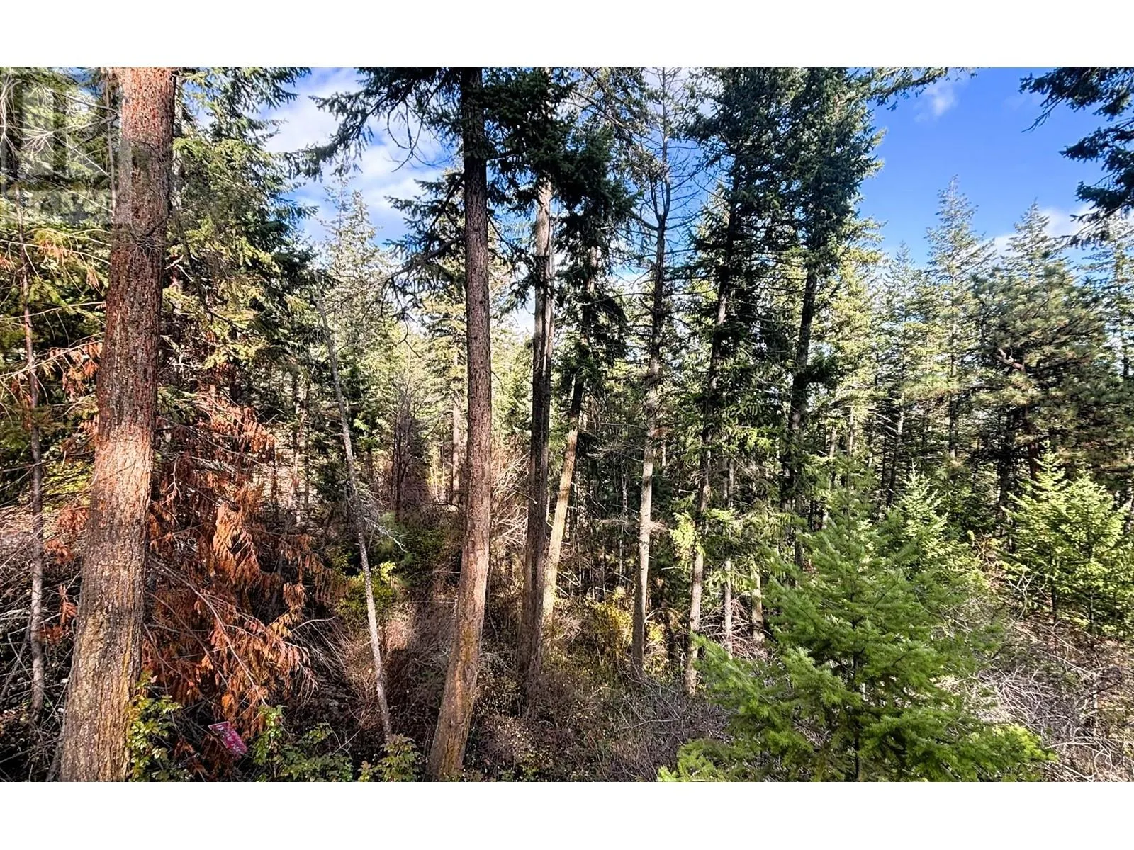 Lot 146 Keithley Road Lot# 146