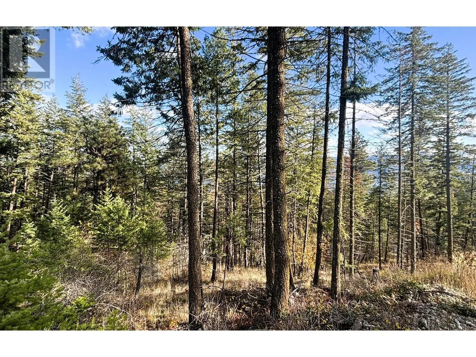 145-147 Keithley Road Lot# 145-147