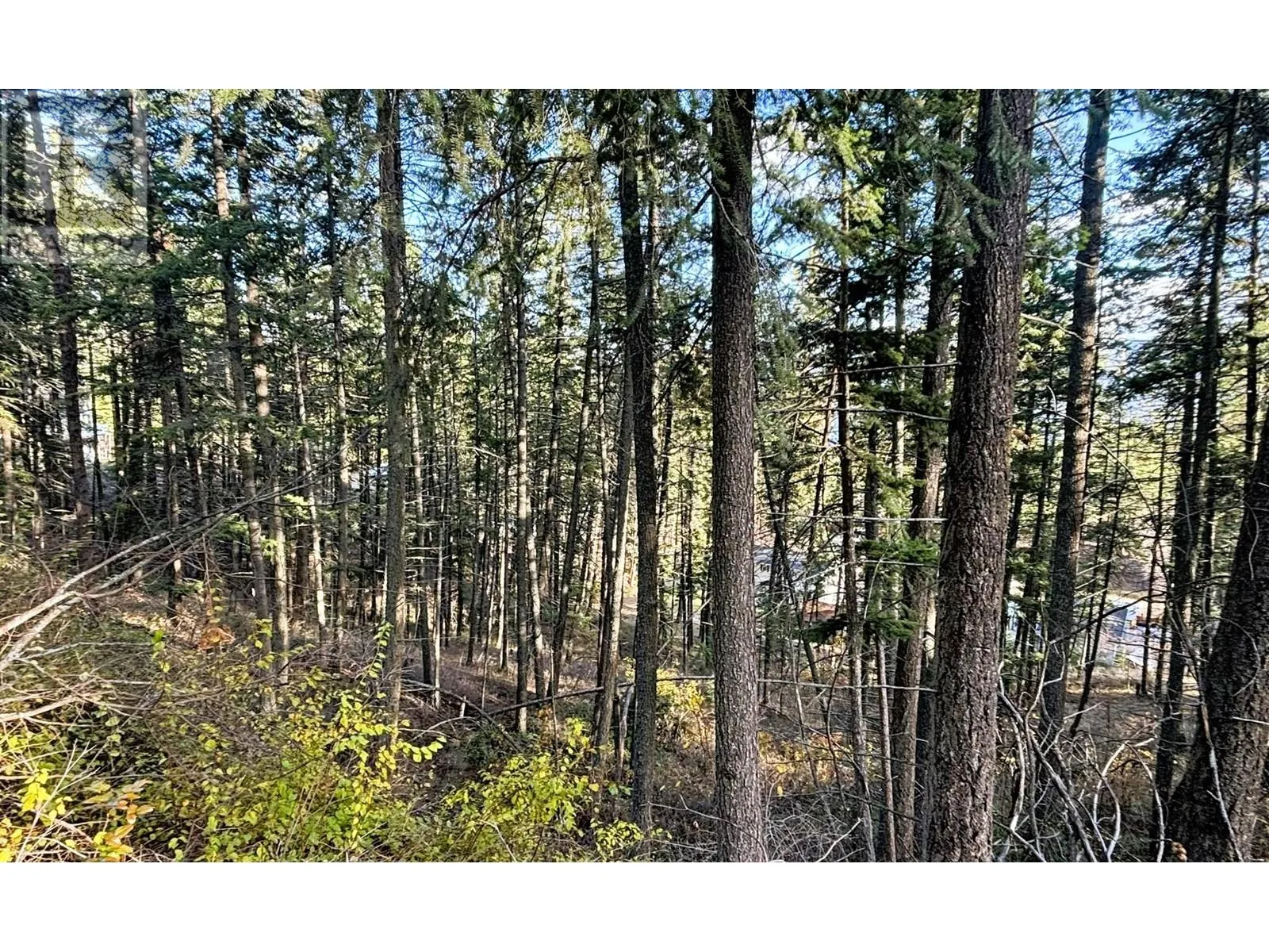 145-147 Keithley Road Lot# 145-147