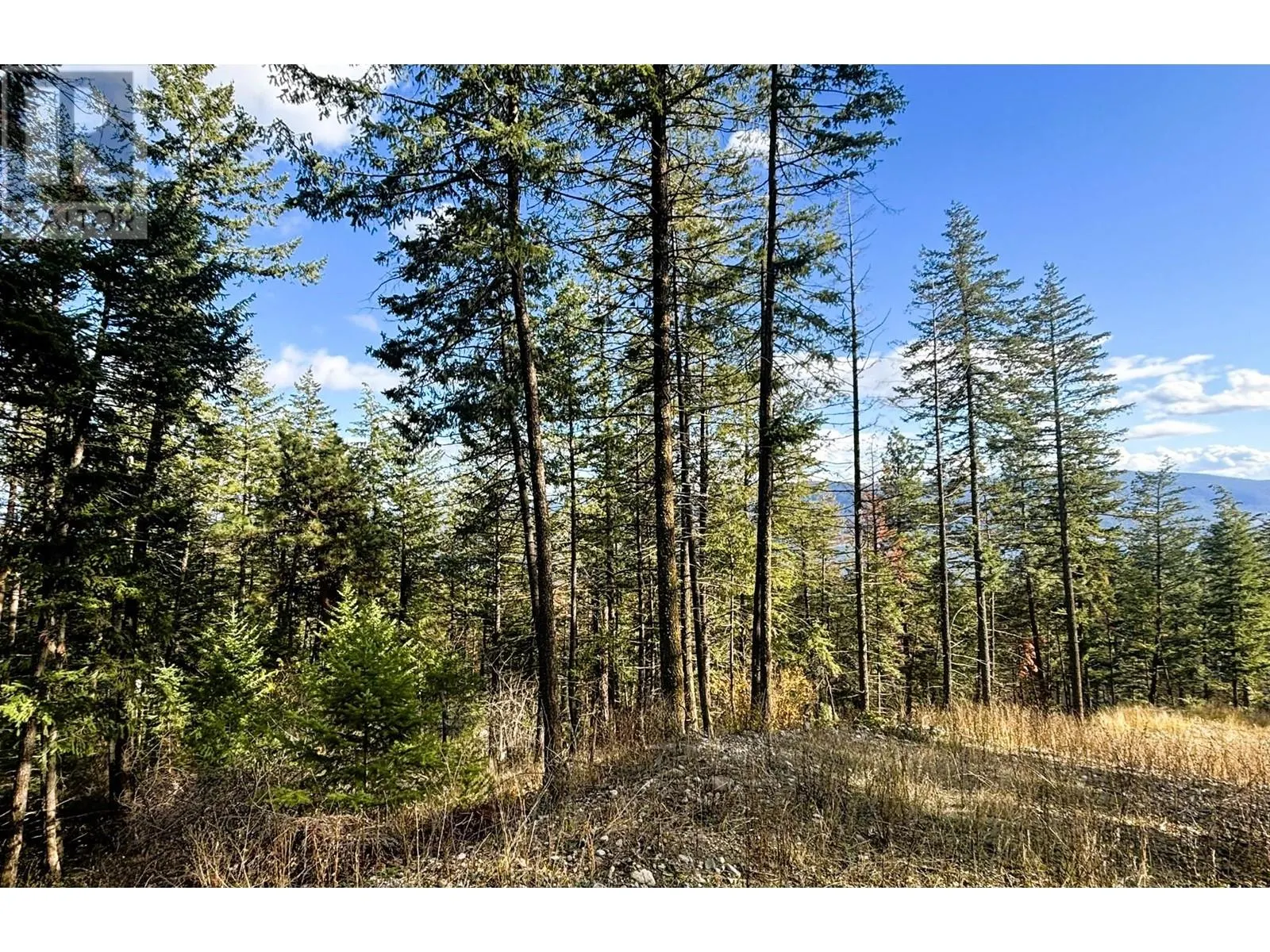 145-147 Keithley Road Lot# 145-147