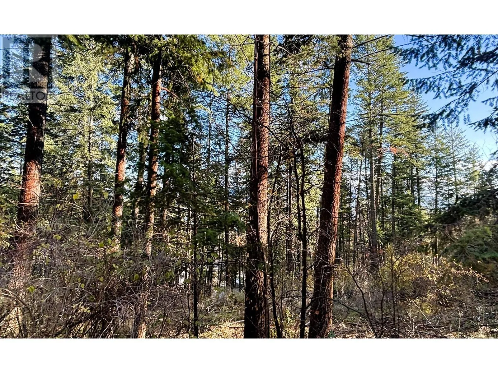 145-147 Keithley Road Lot# 145-147