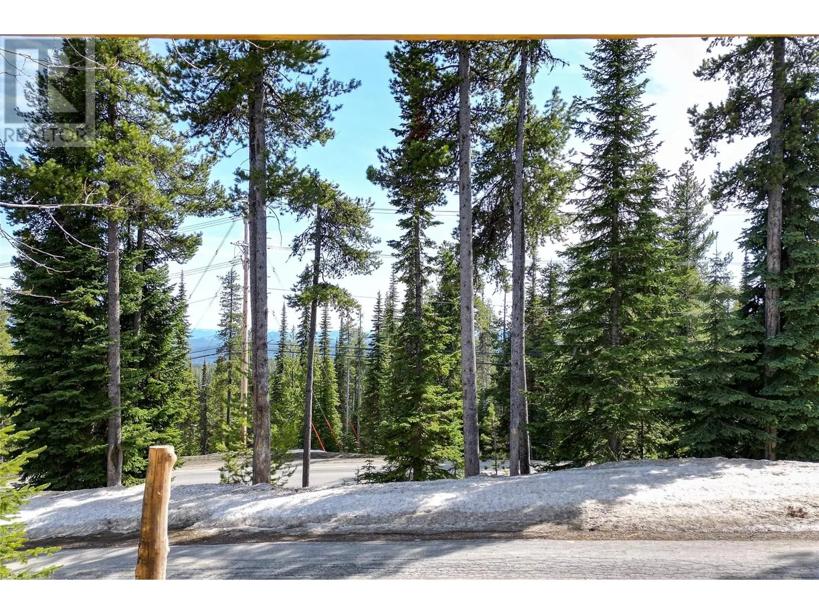 4817 Snow Pines Road Unit# D