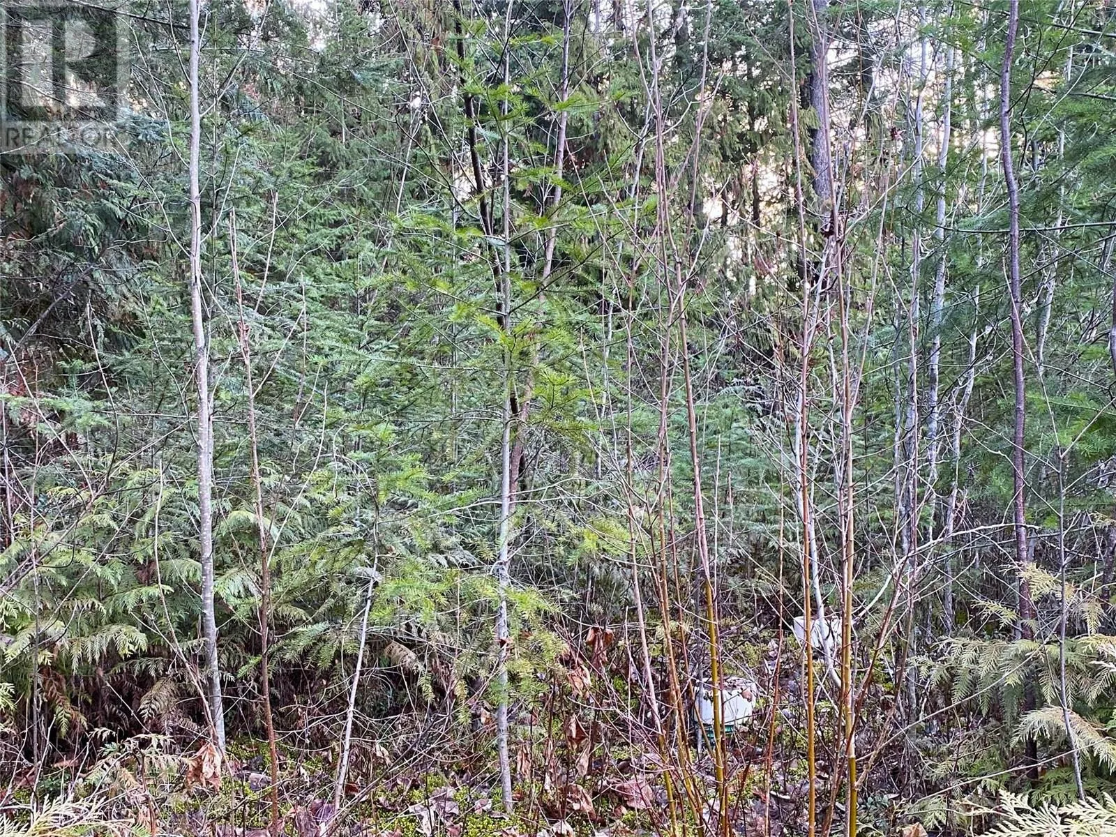 2807 Evergreen Place