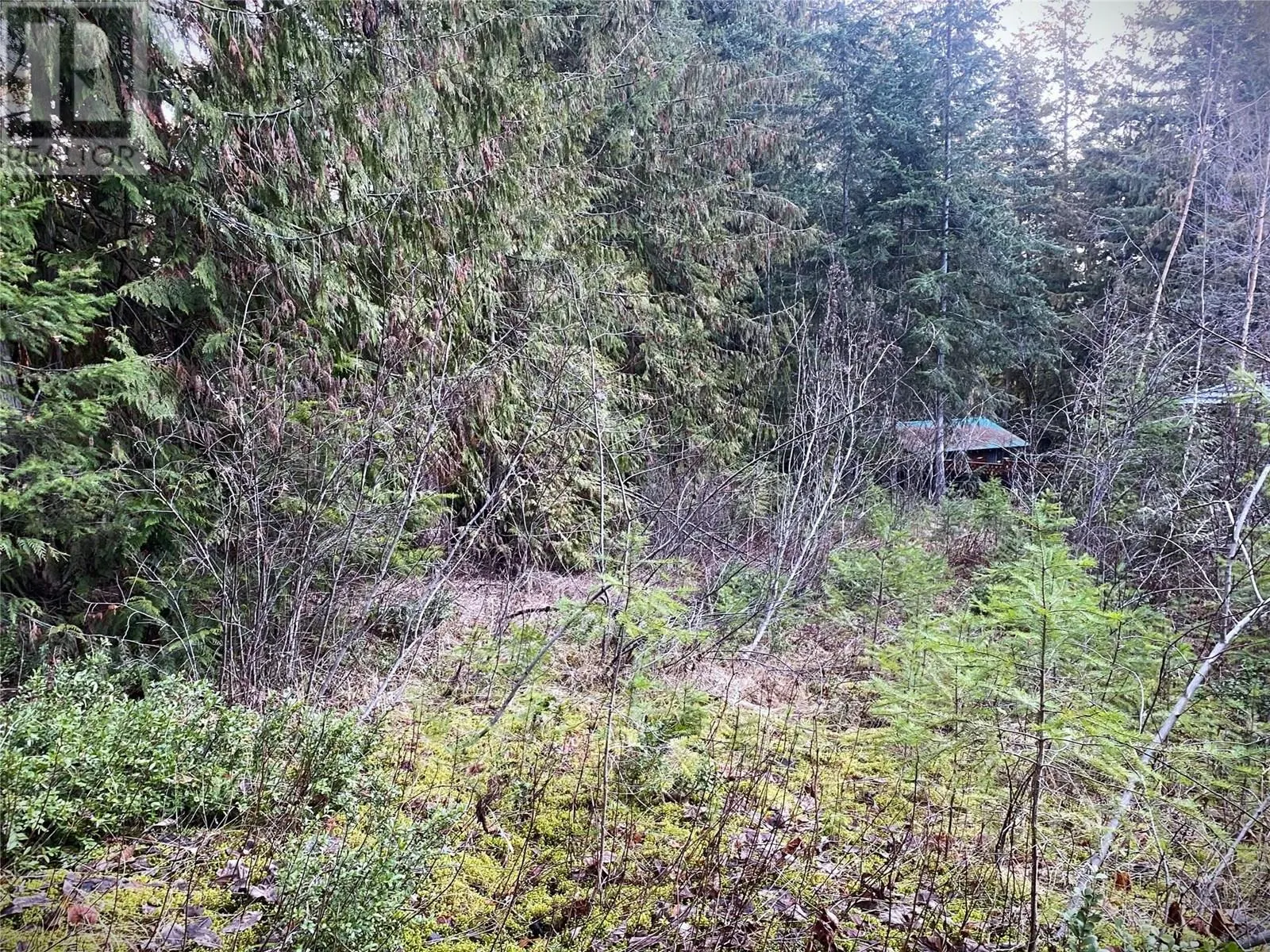 2807 Evergreen Place