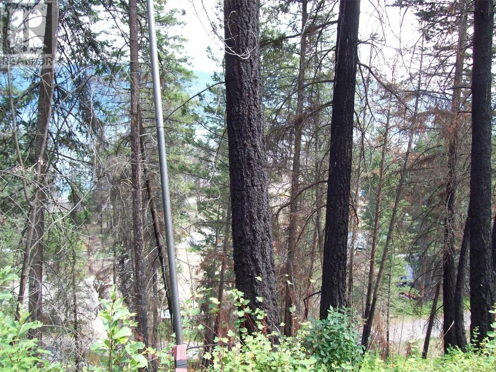 58 Homer Crescent