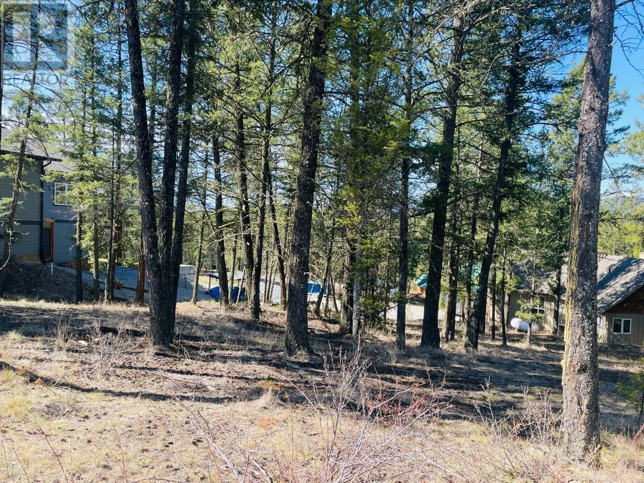 Lot 15 CROOKED TREE Place