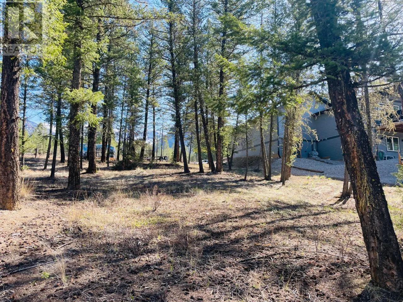 Lot 15 CROOKED TREE Place