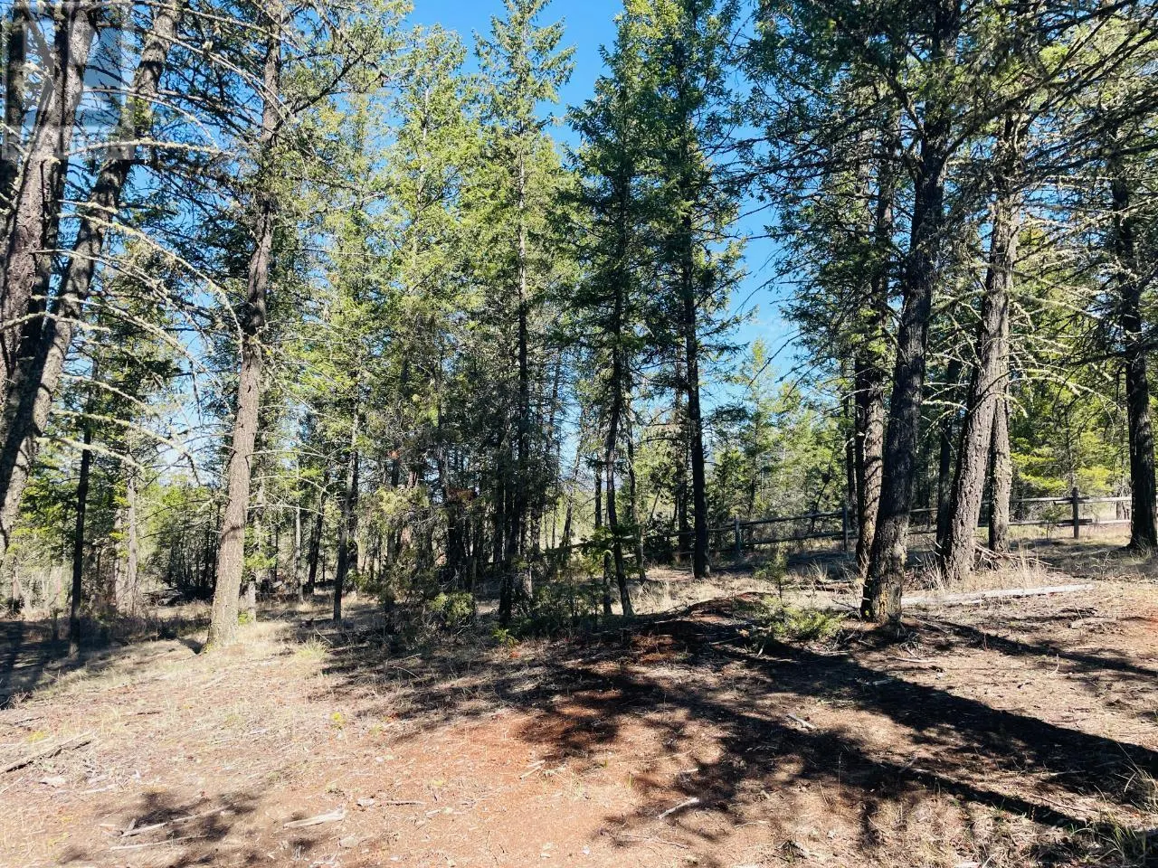 Lot 15 CROOKED TREE Place