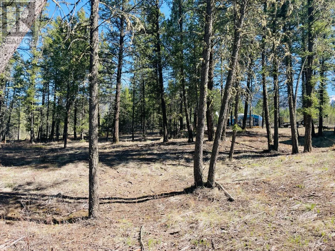 Lot 15 CROOKED TREE Place