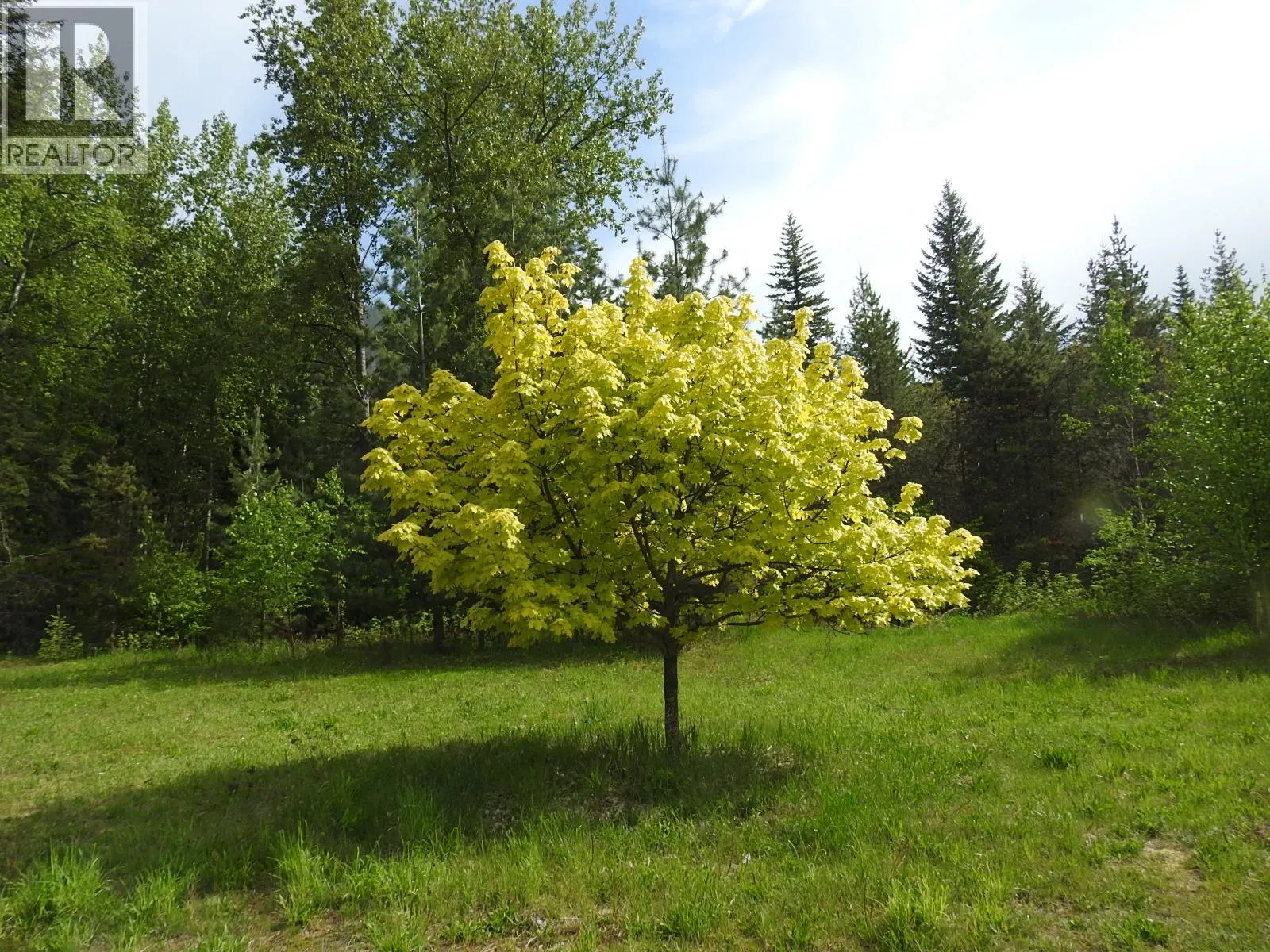 1433 Sugar Lake Road