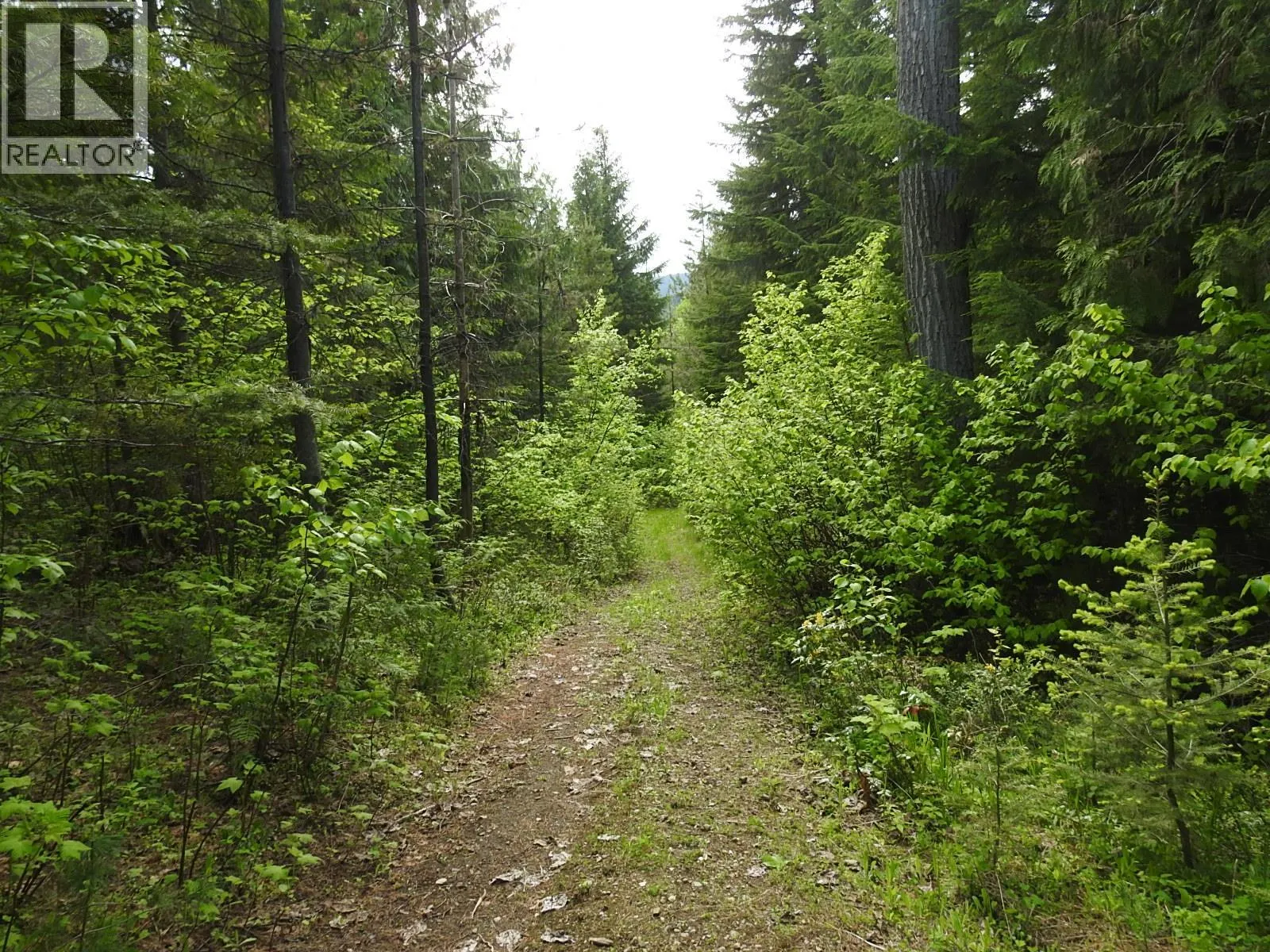 1433 Sugar Lake Road