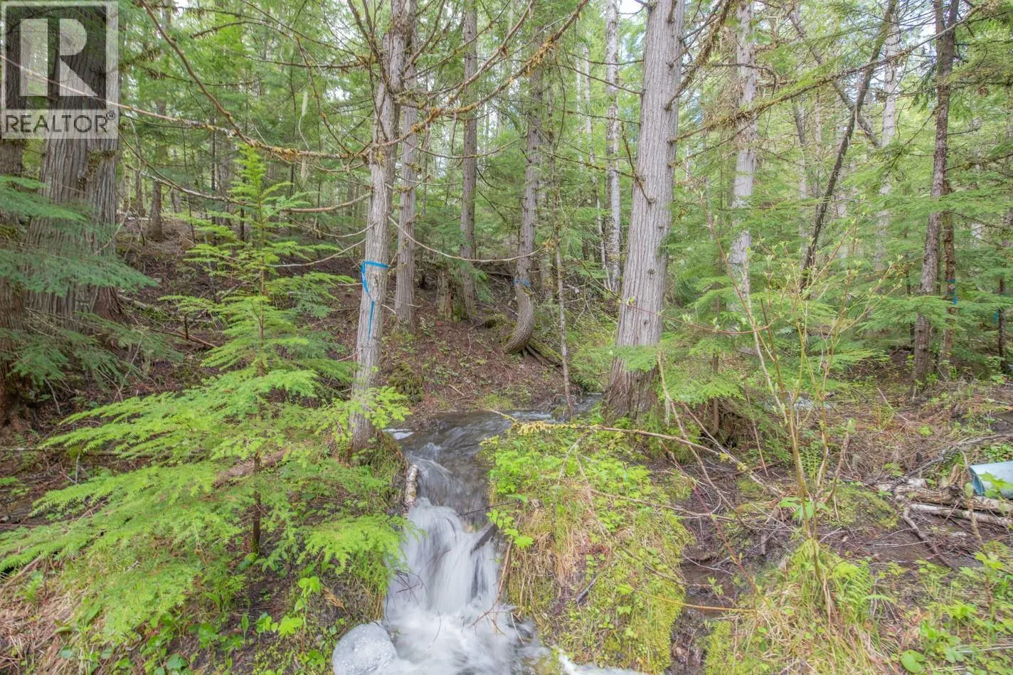 1433 Sugar Lake Road