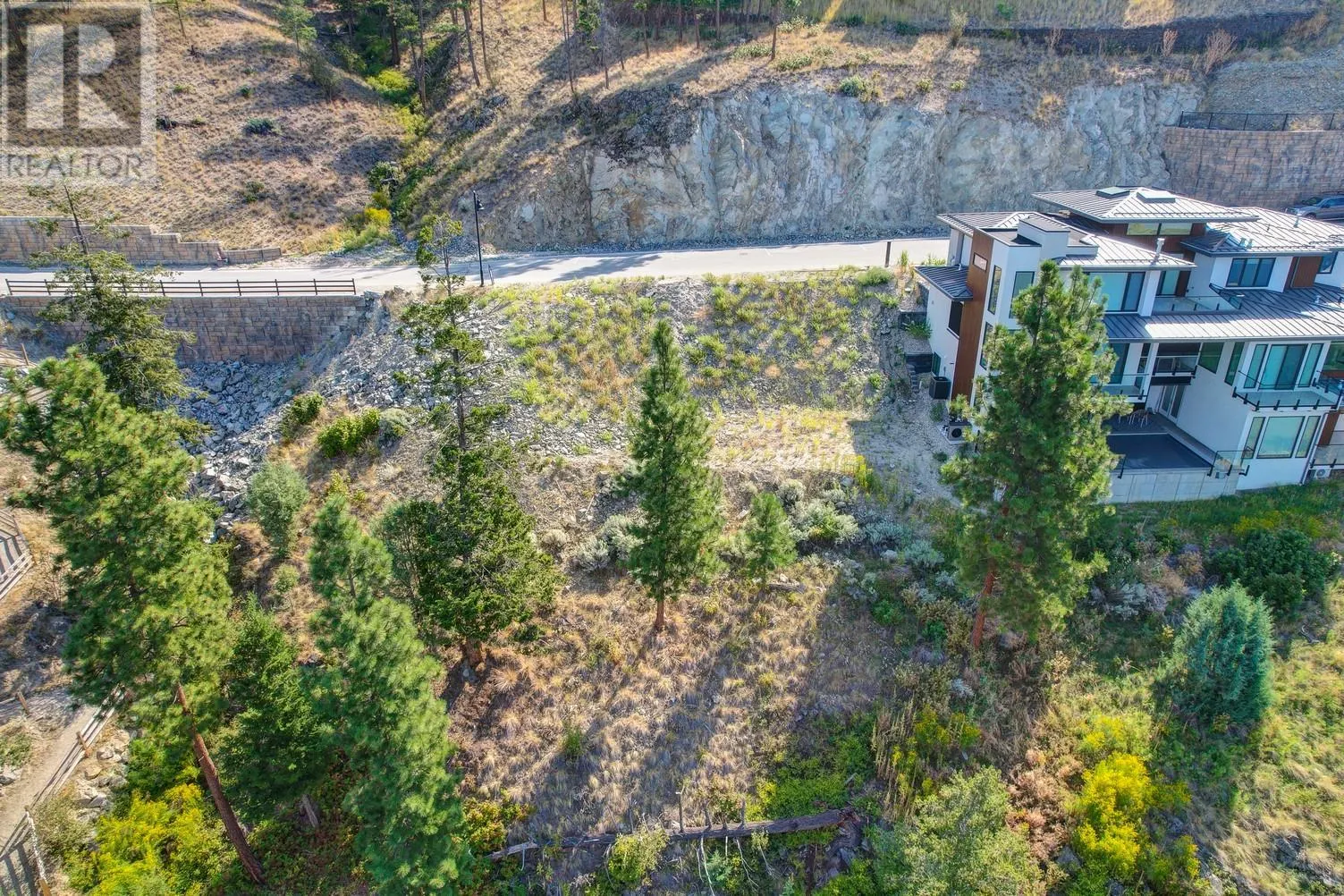 3504 Arrowroot Drive