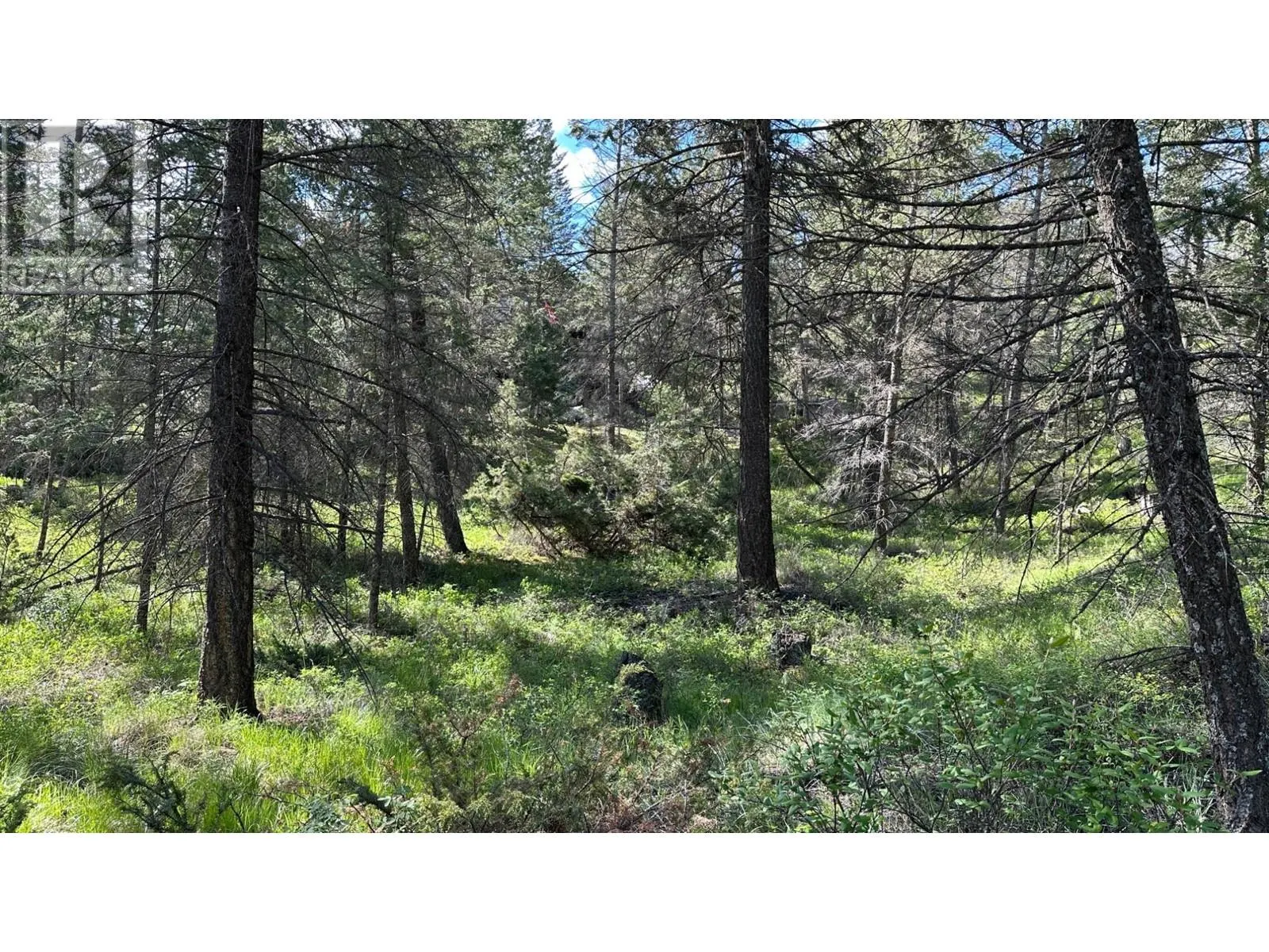 Lot 18 RIO VISTA Point Lot# 18
