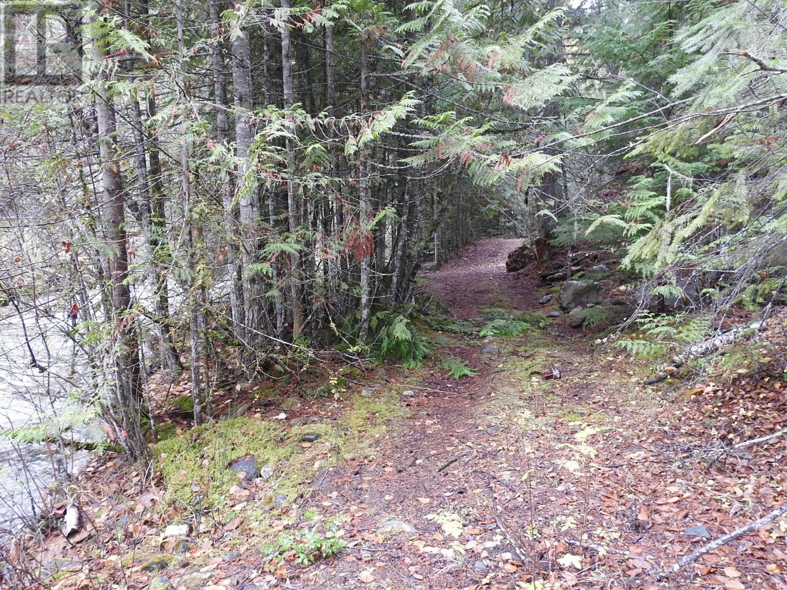 144 Acres South Fork Road