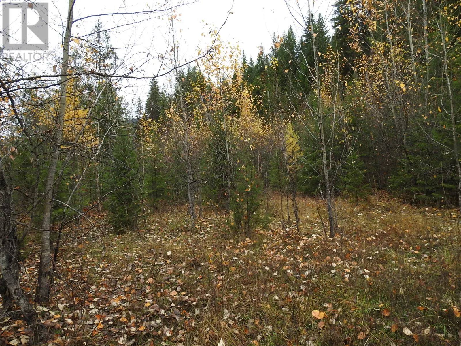 144 Acres South Fork Road
