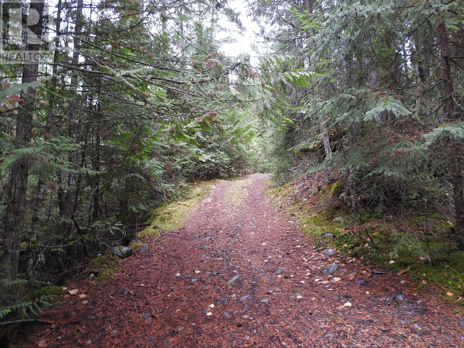 144 Acres South Fork Road