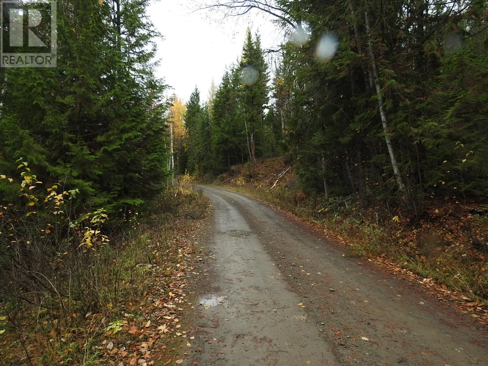 144 Acres South Fork Road