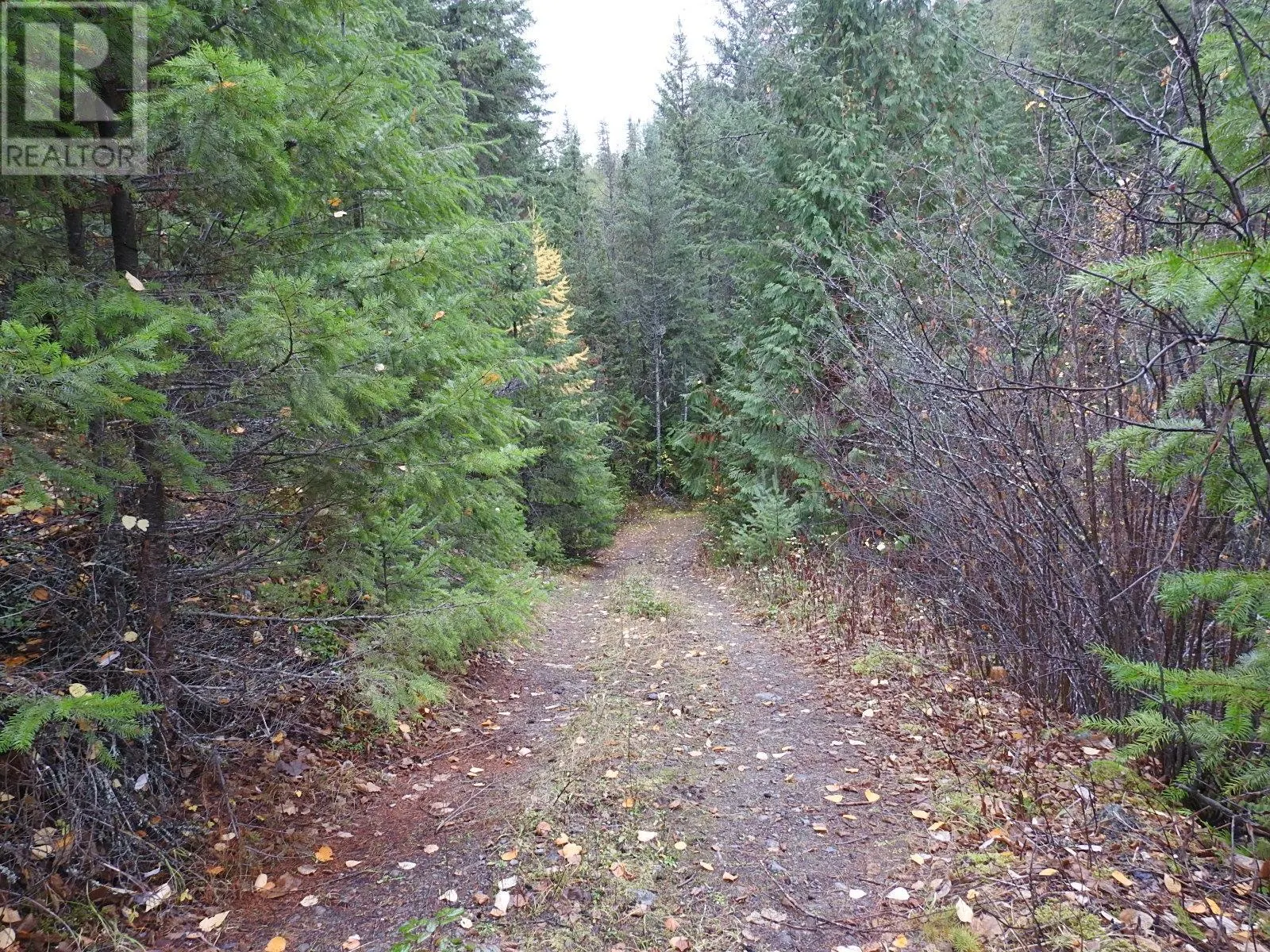 144 Acres South Fork Road