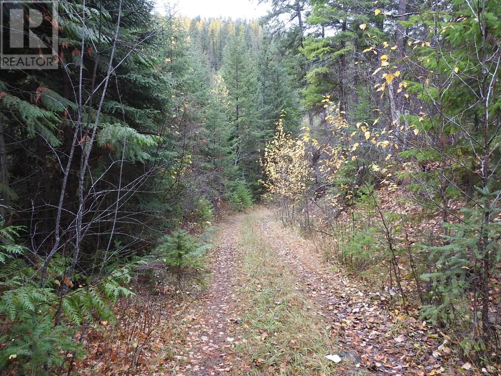 144 Acres South Fork Road
