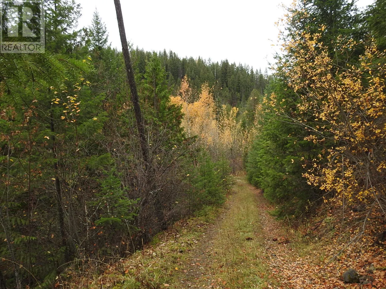 144 Acres South Fork Road