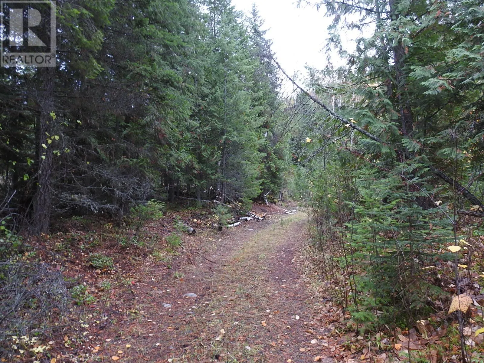 144 Acres South Fork Road