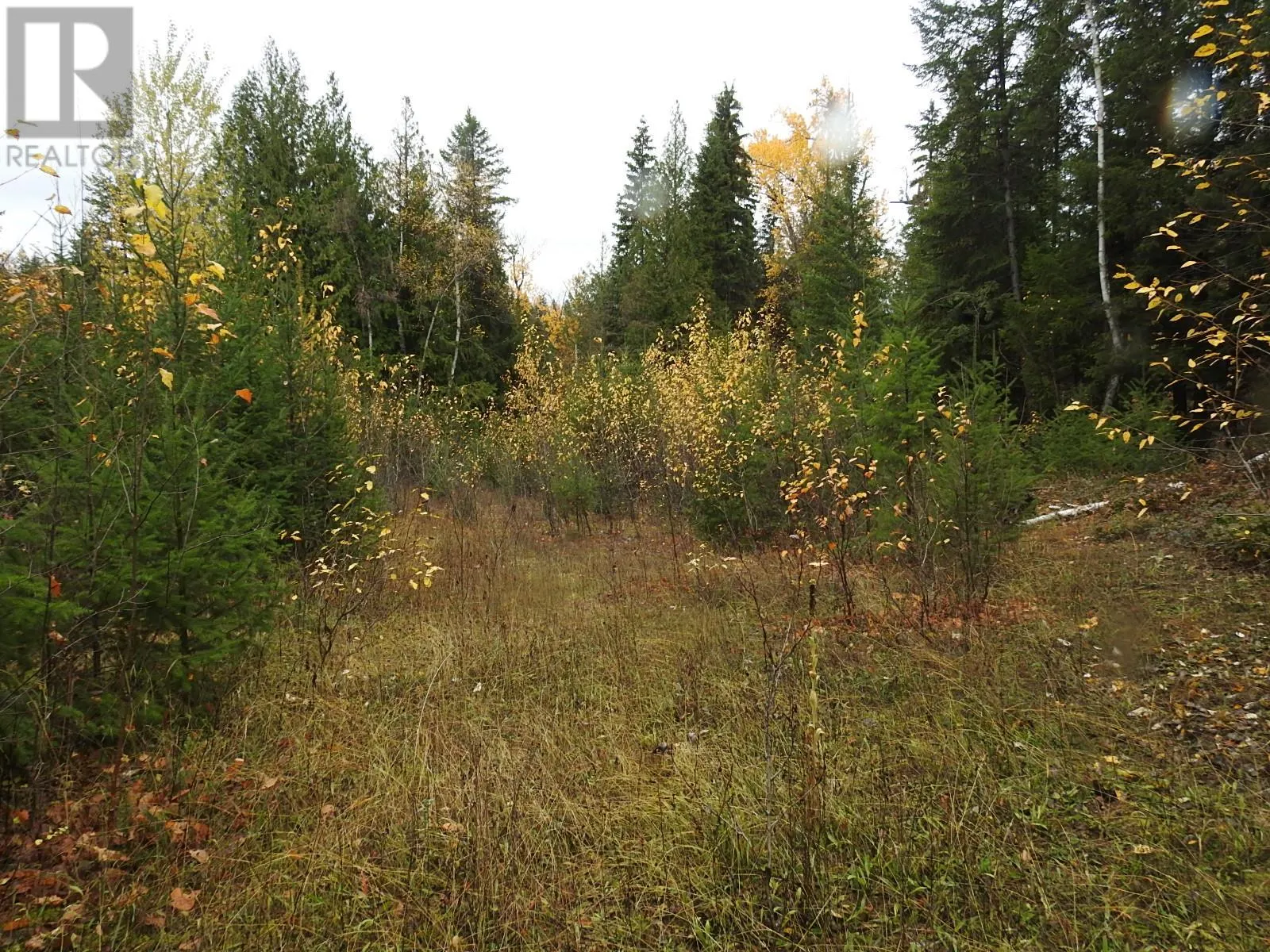 144 Acres South Fork Road