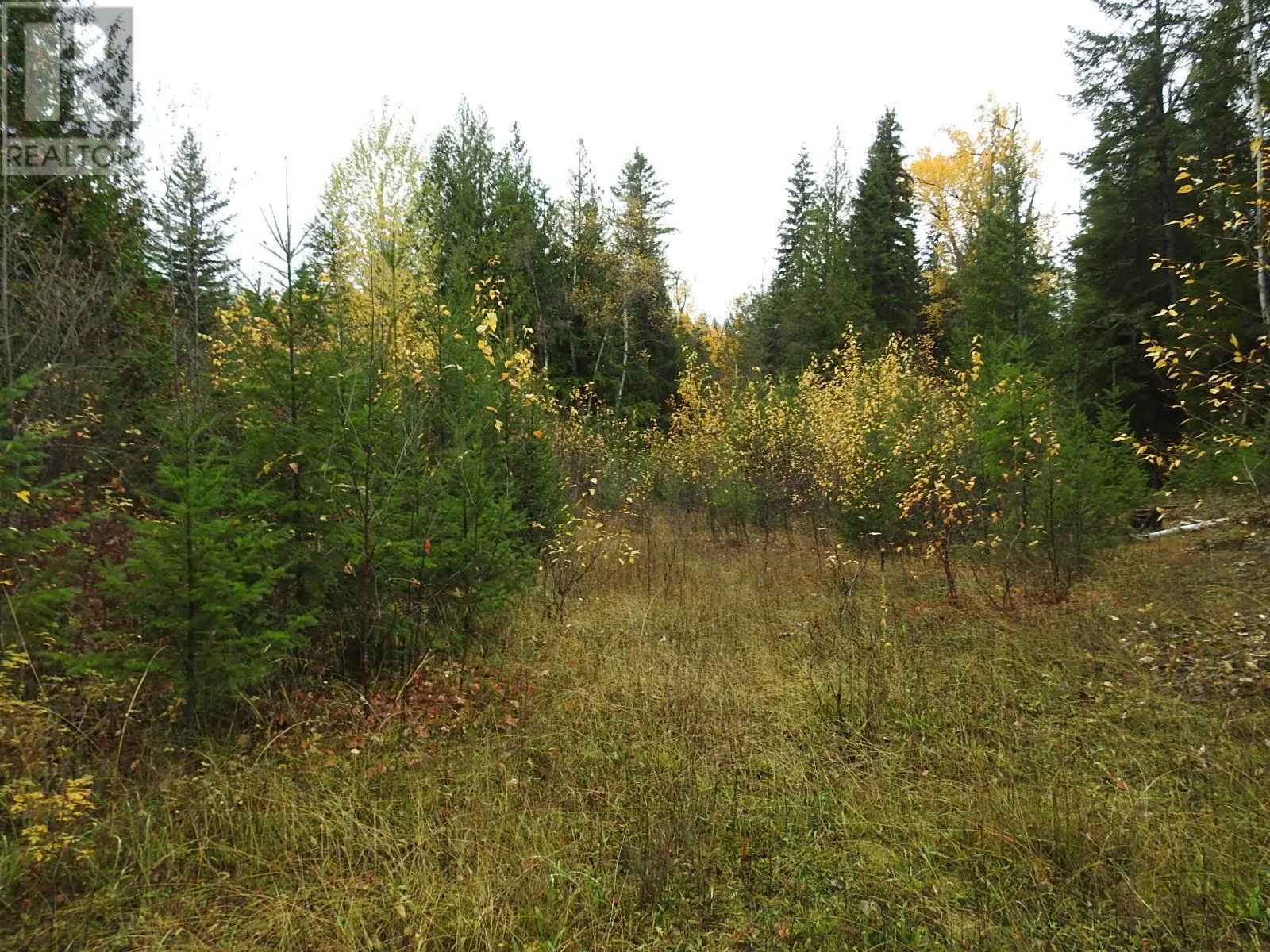 144 Acres South Fork Road