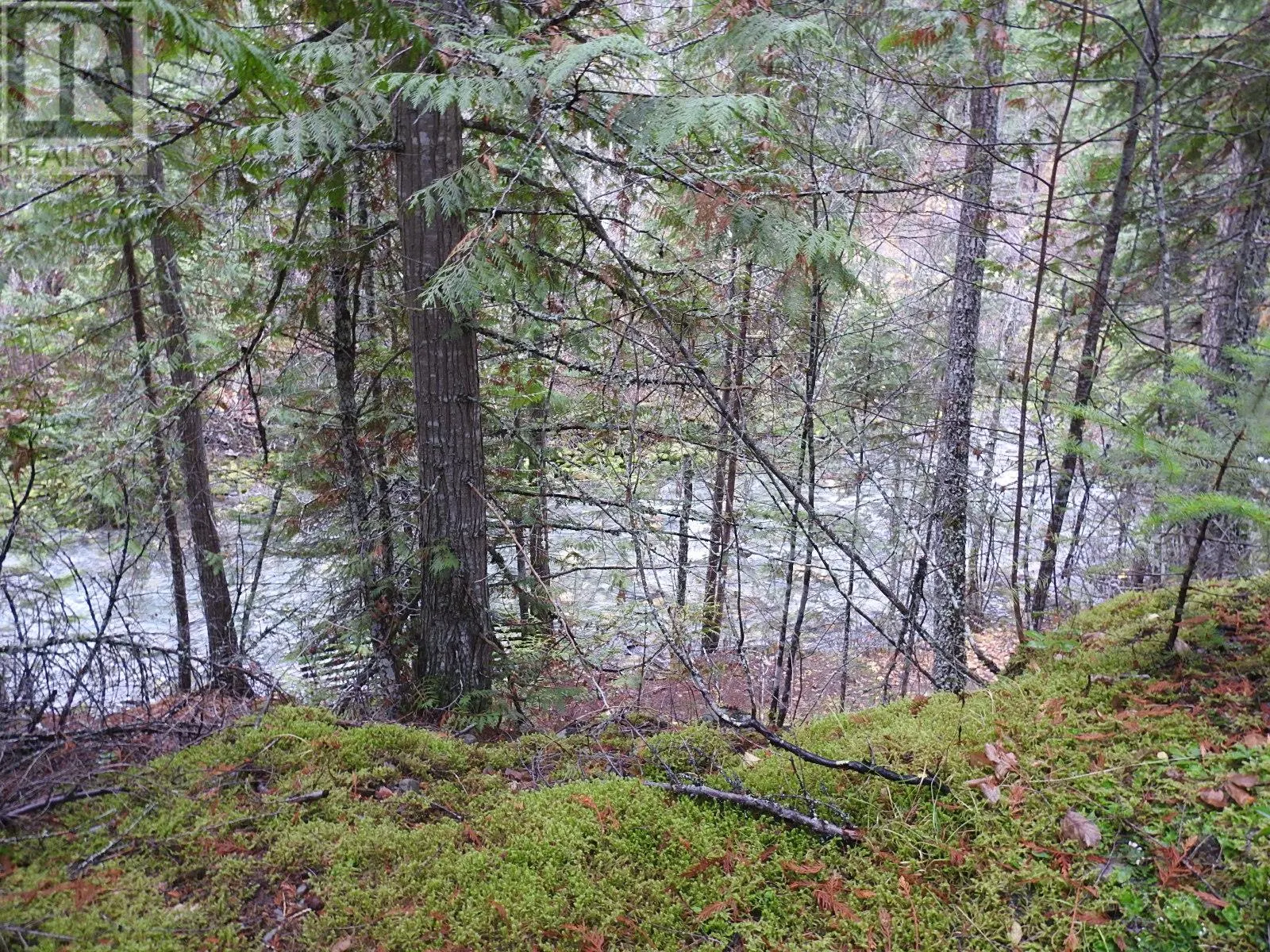 144 Acres South Fork Road