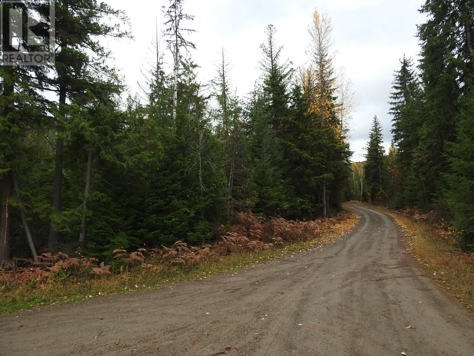 144 Acres South Fork Road