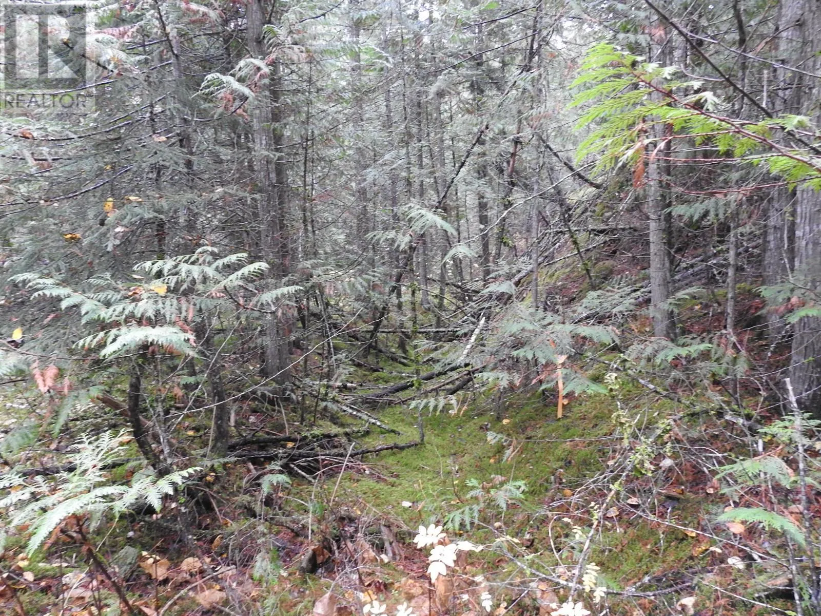 144 Acres South Fork Road