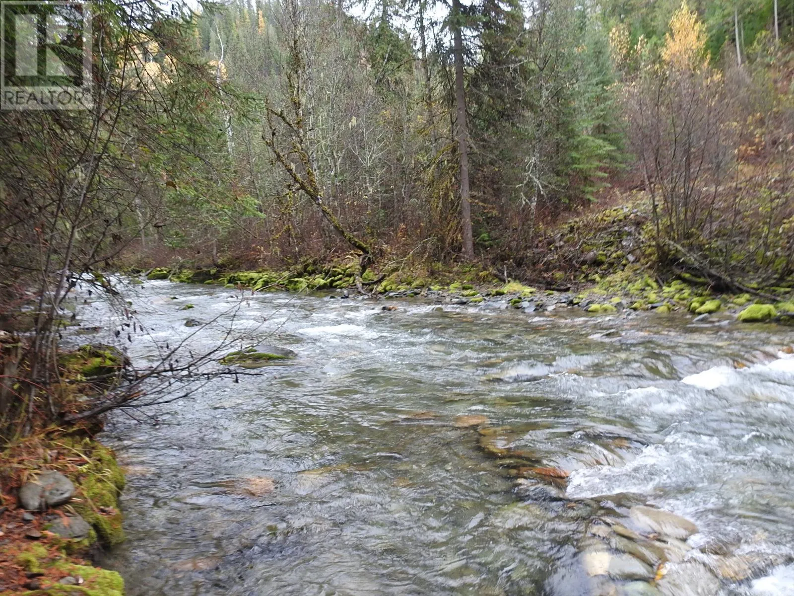 144 Acres South Fork Road