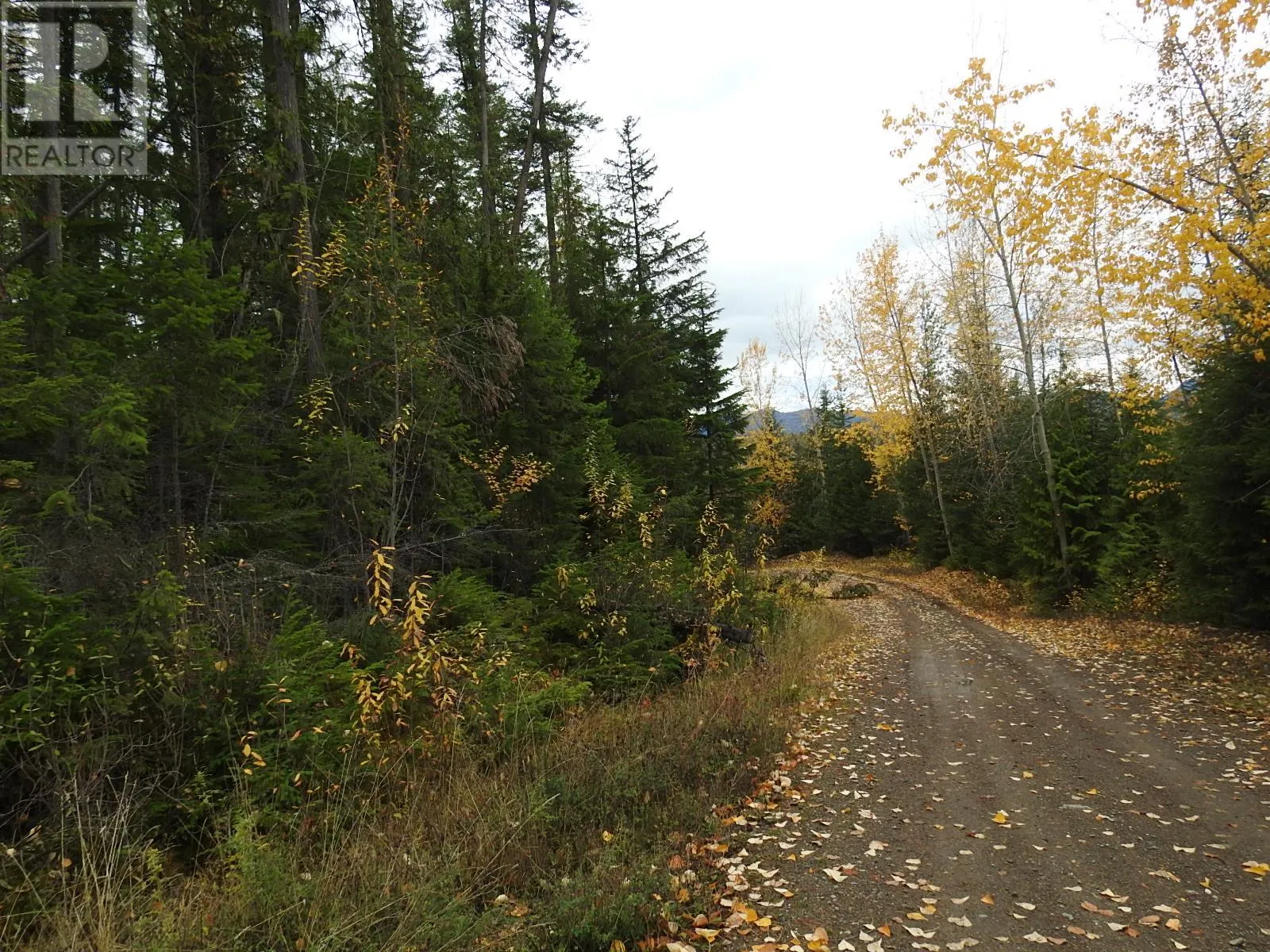 144 Acres South Fork Road