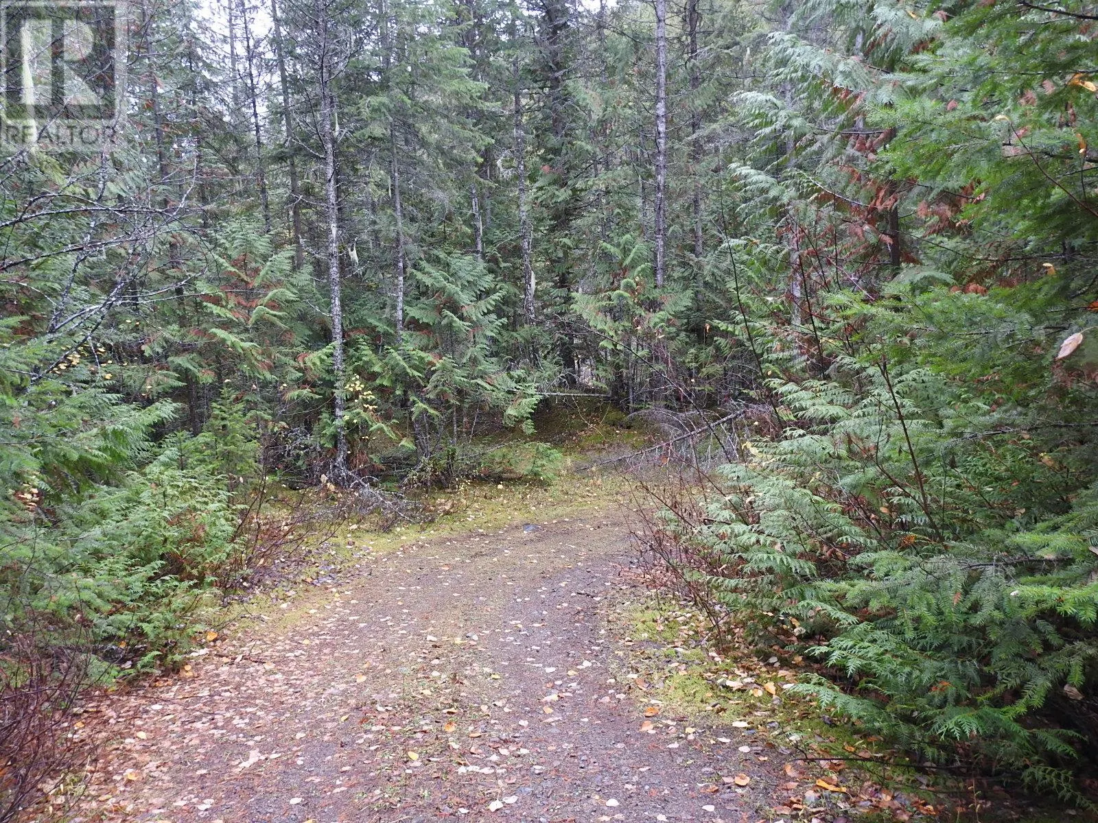 144 Acres South Fork Road