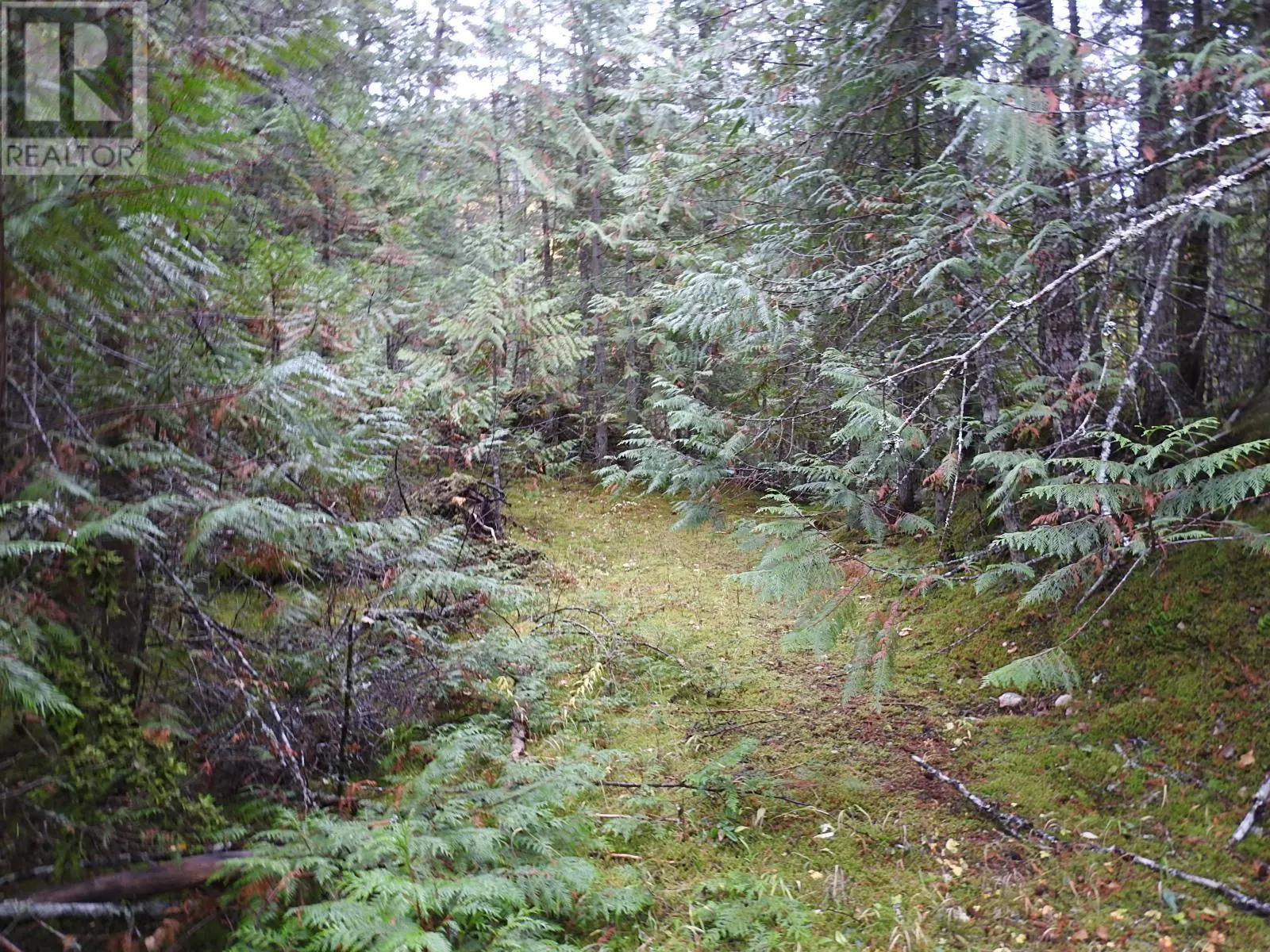 144 Acres South Fork Road