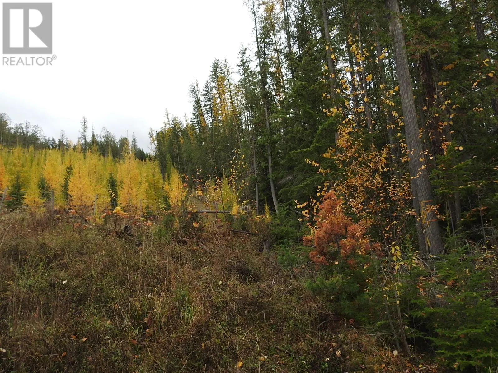 144 Acres South Fork Road