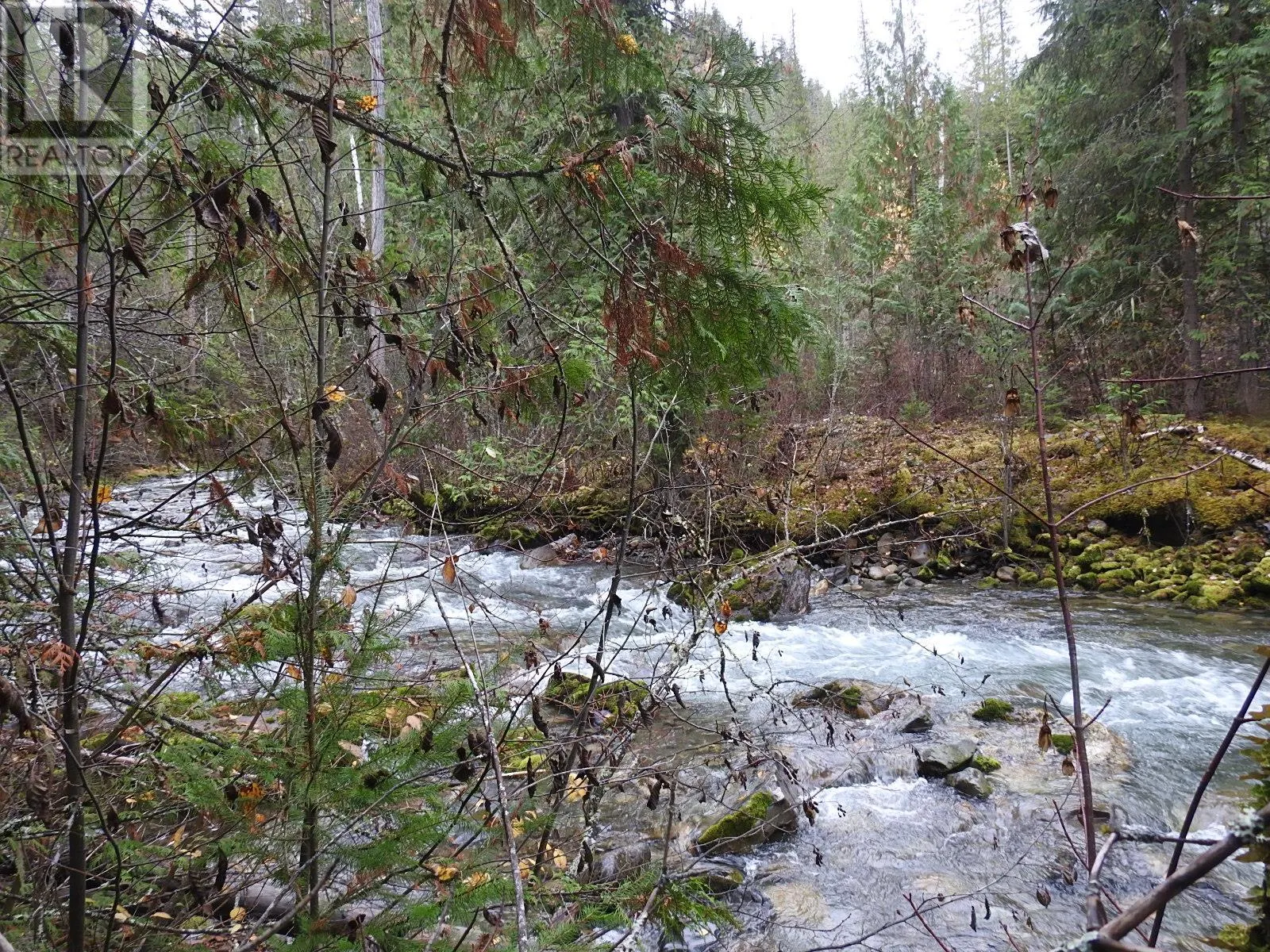 144 Acres South Fork Road
