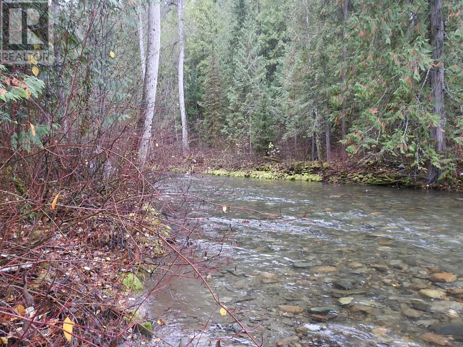 144 Acres South Fork Road