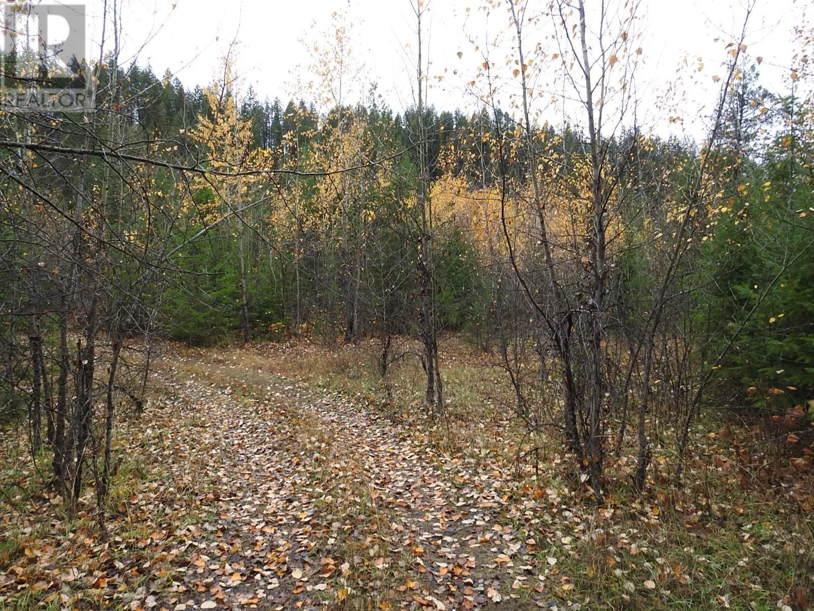 144 Acres South Fork Road