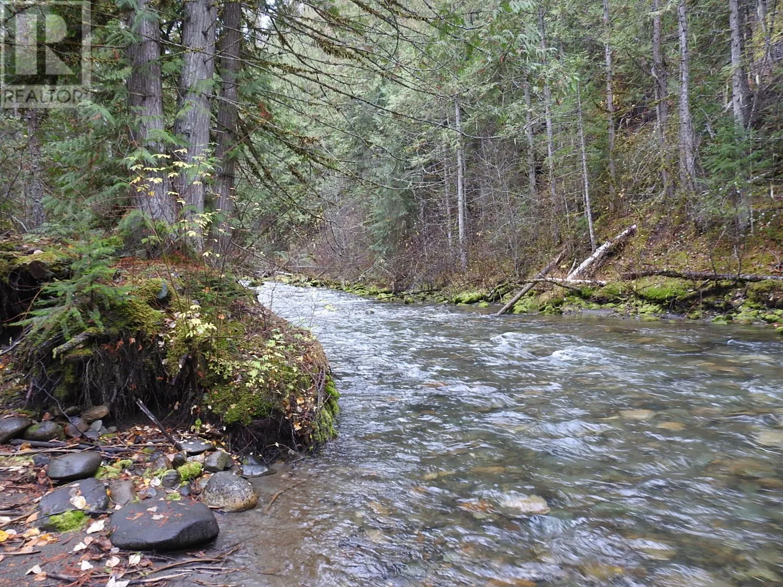 144 Acres South Fork Road