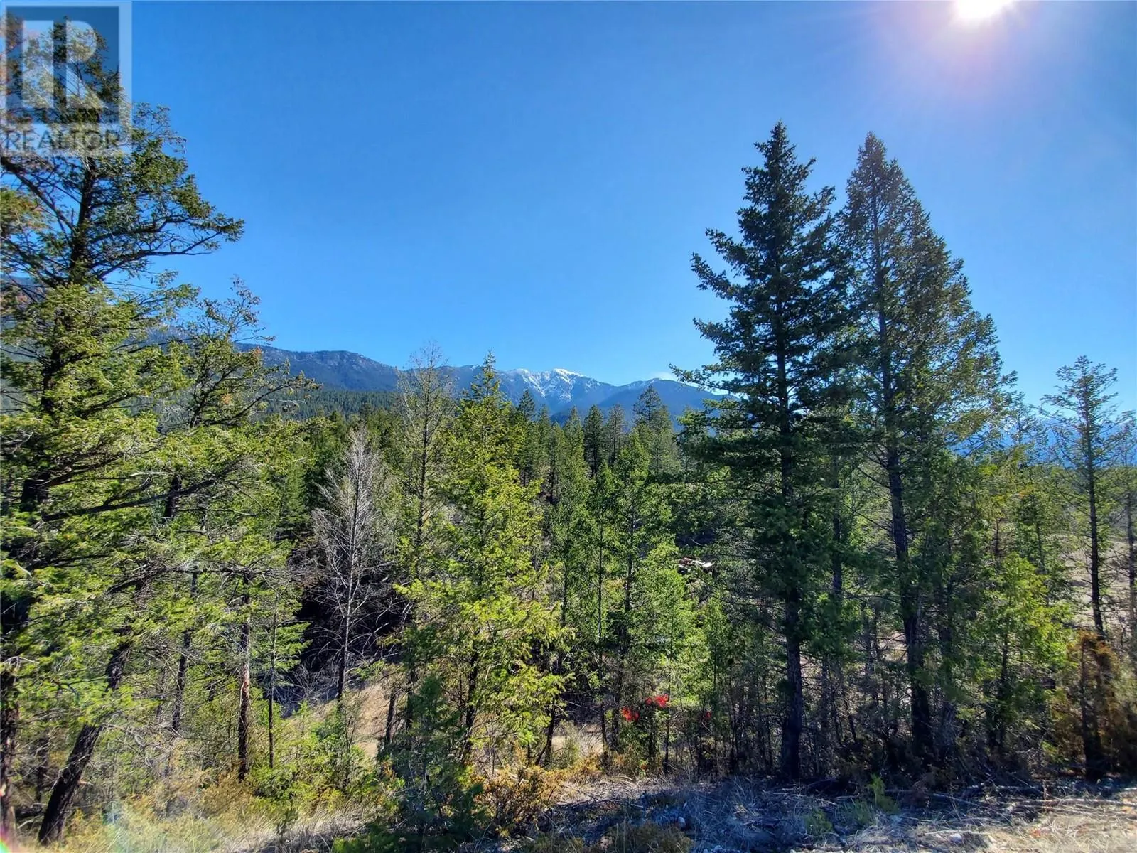 Lot 1 KOOTENAY RD NO 3 Road