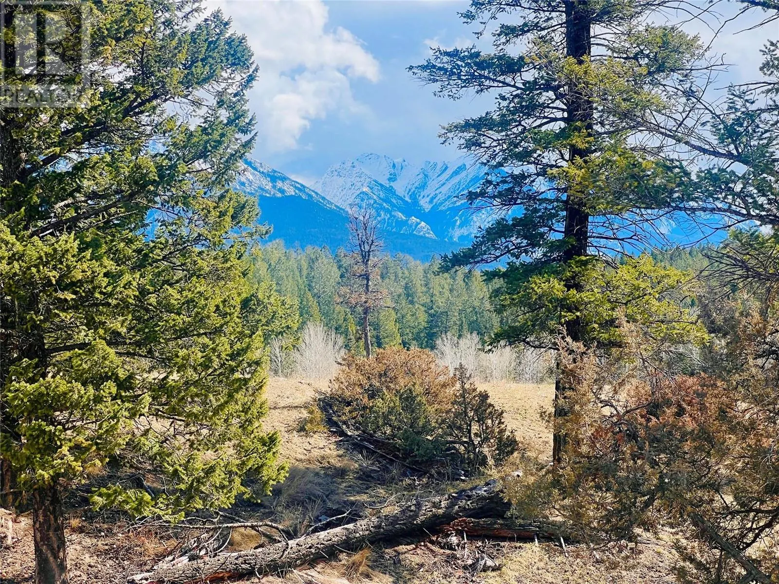 Lot 1 KOOTENAY RD NO 3 Road