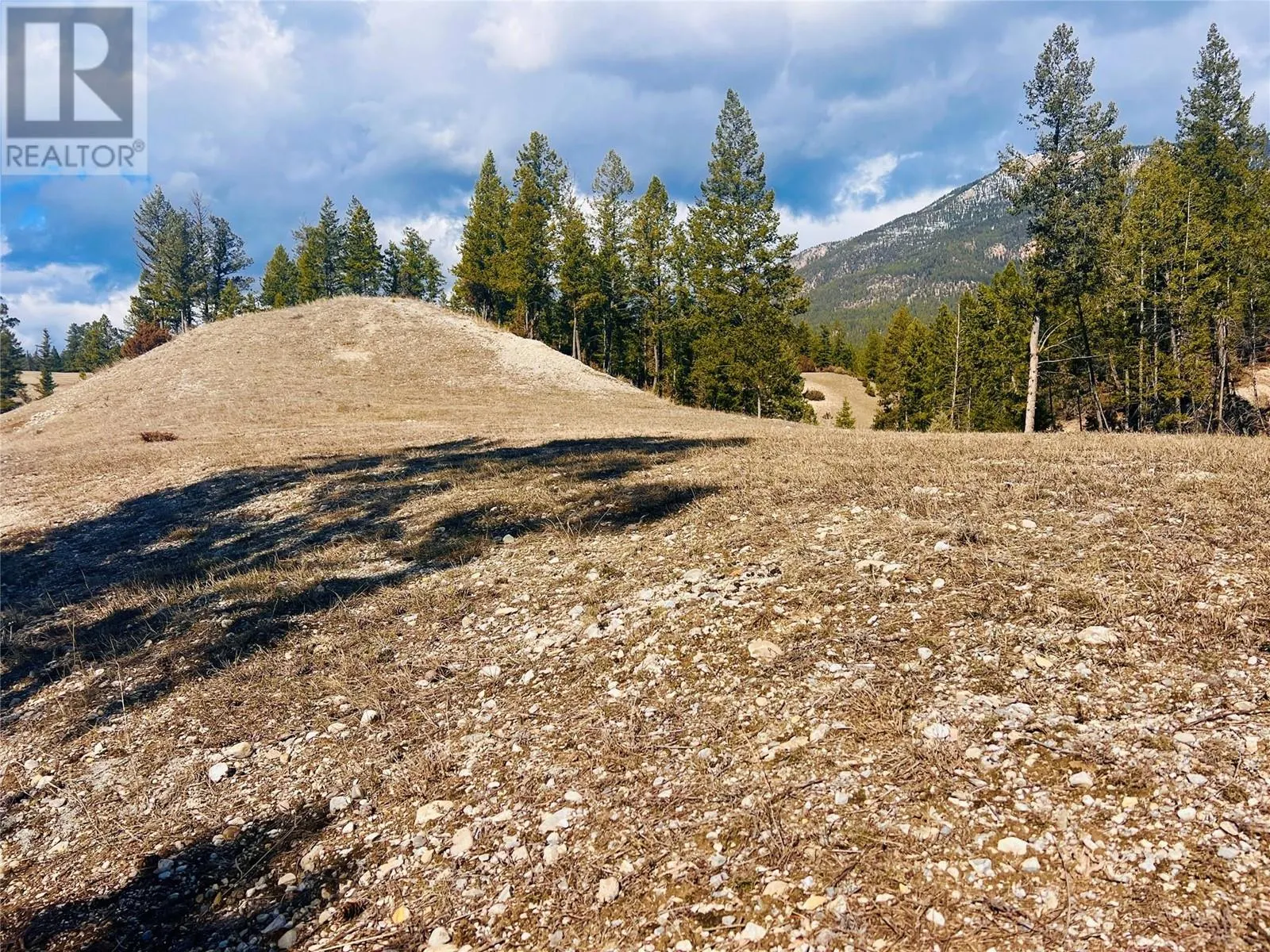 Lot 1 KOOTENAY RD NO 3 Road