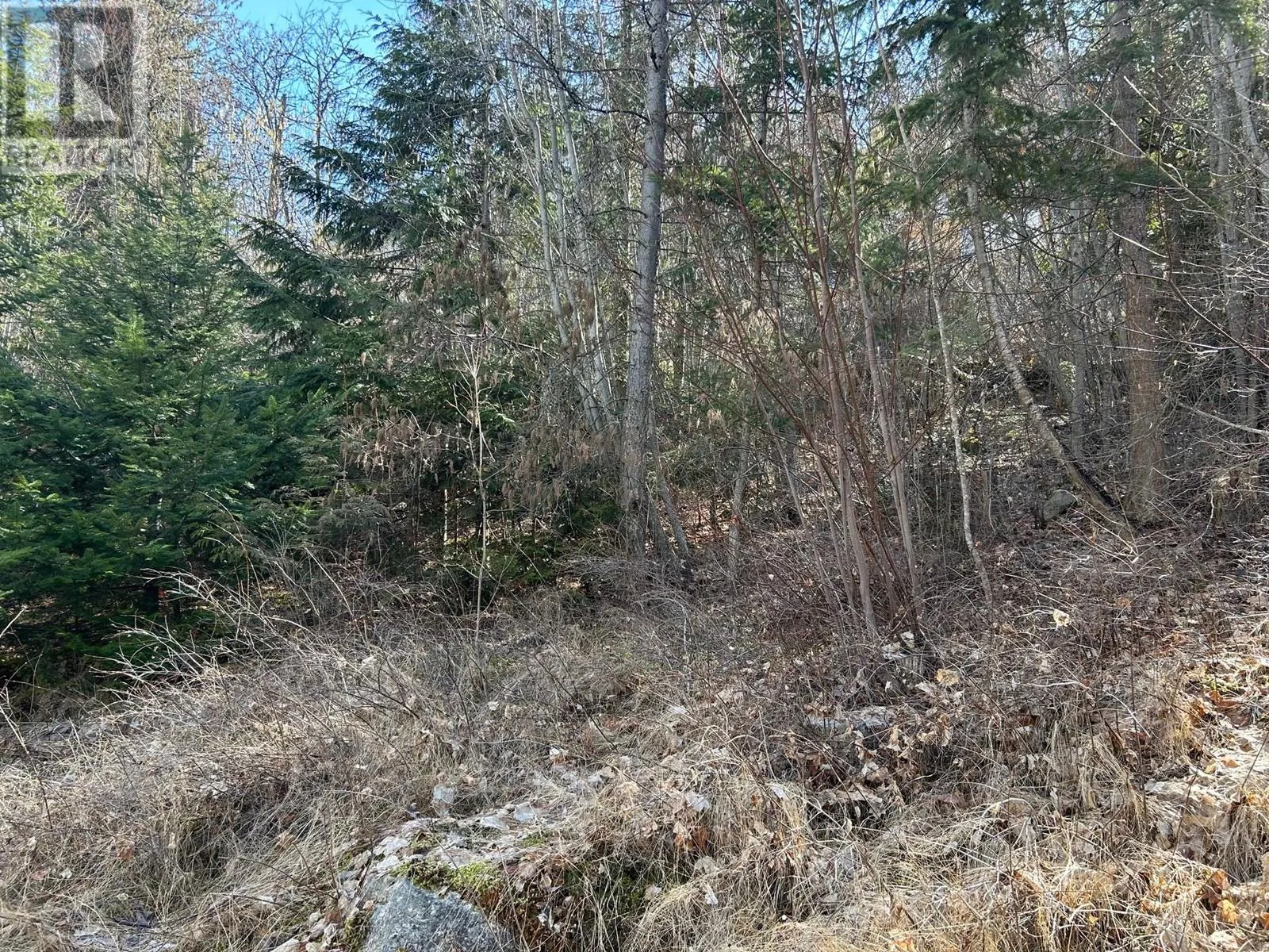 Lot B Trevor Street